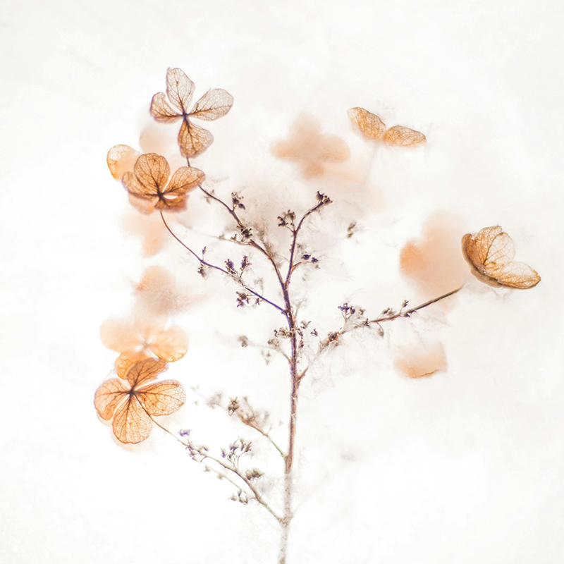 dermastacja poczeklania